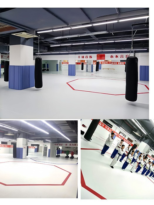 Taekwondo Mat Fighting Fighting Roll Mat Martial Arts Sanda Wrestling Seamless Xpe Sports Floor Mat Boxing Roll Mat