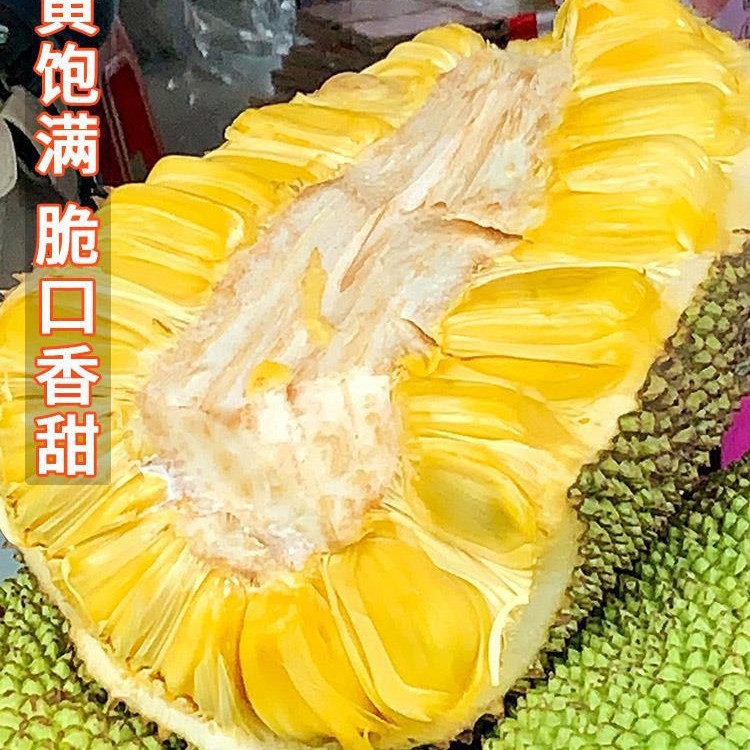 Hainan Sanya Jackfruit Fresh Fruit Jackfruit Seasonal Whole 10-20kg Boxes Free Shipping Red Meat
