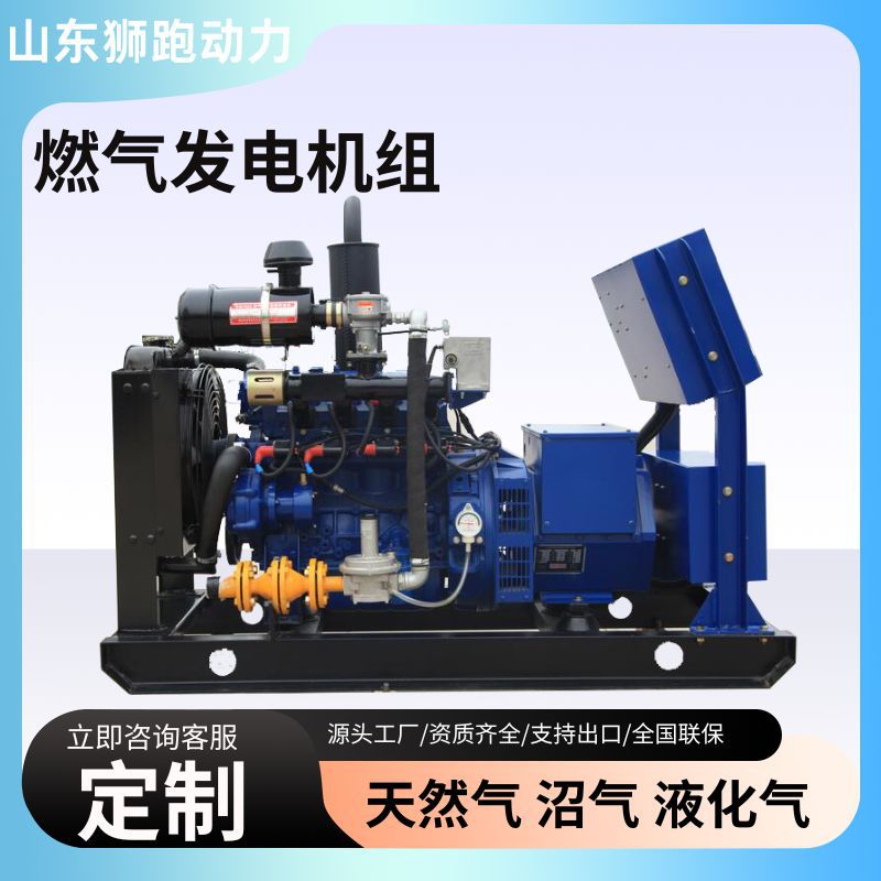 Малый газовый генератор 50 кВт на природном газе биогазе для фермерских нефтяных месторождений гражданская генераторная установка