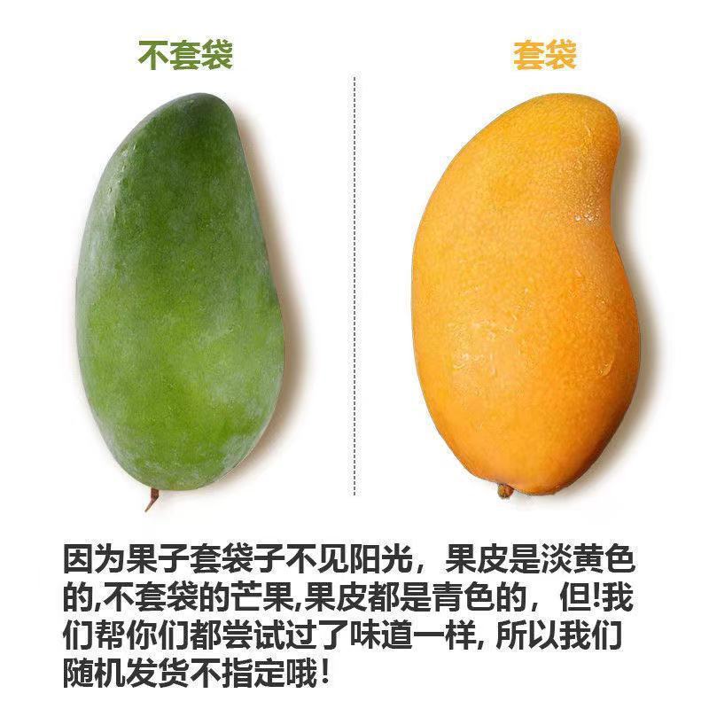 5kg Full Box Free Shipping Jinhuang Mang Seasonal Big Jinhuang Mang Narcissus Mango Sweetheart Fresh Tropical Fruit Mango