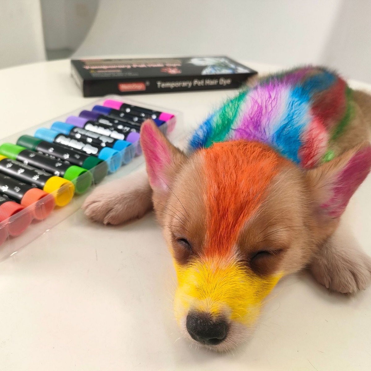 Pet Hair Dyeing Stick No Hair Injury Easy to Clean Color Hair Dyeing Cream Dog Hair Dyeing Veterinary Marker Crayon