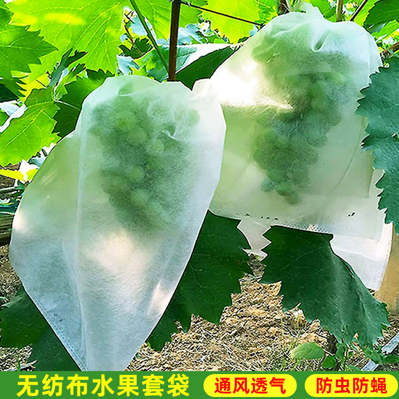 Нейлоновый мешок для винограда Sunshine Rose, специальный, защищающий от птиц и насекомых, мешок для защиты рассады, мешок для фруктов и овощей