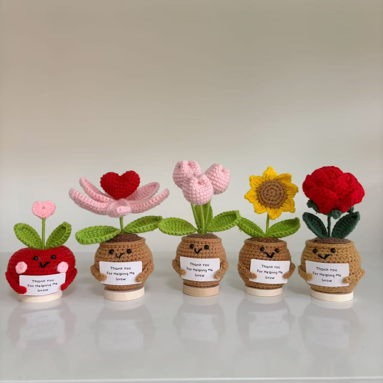 Handmand Emotionlal Support Plant Gift Hand Woven Positive Plant Potted