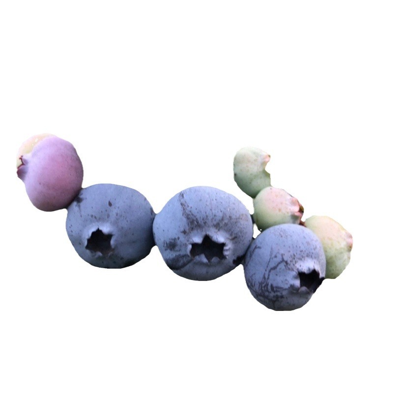 Blueberry 8 Boxes of Fresh Fruit for Pregnant Women and Babies, Fruit Snacks, Blue Plum Sf Snacks, Binge-Watching Snacks, Cross-Border Shipping