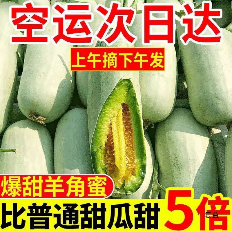 Первая партия дынь медовых круассанов Шаньдун, свежий сезонный фрукт, дыня медовая для беременных, целая коробка, хрустящая сладкая дыня круассан