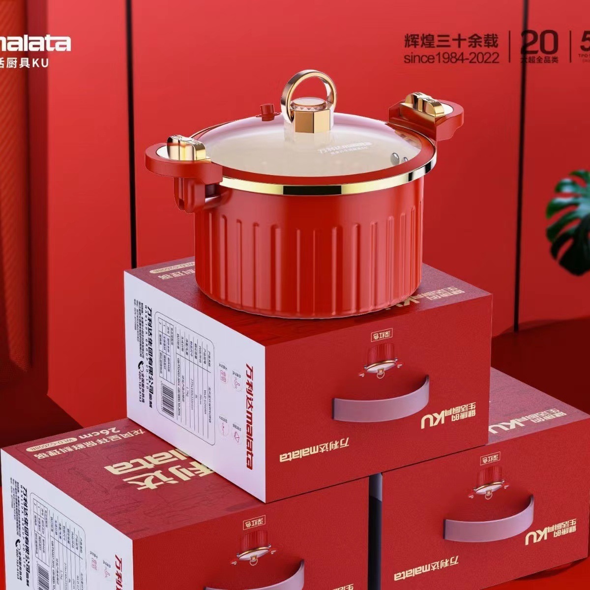 Новая кастрюля под давлением Phnom Penh, многофункциональная антипригарная кастрюля с микропрессией, двусторонняя эмалированная кастрюля, оптовая продажа