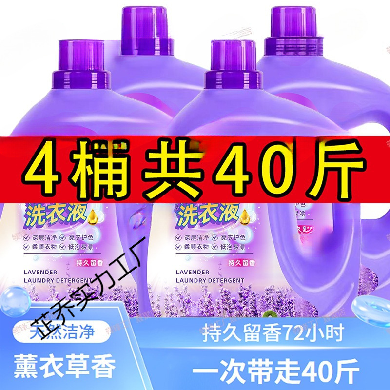 Lavender Laundry Detergent 5kg Whole Box Wholesale Family Size Scented Hand Washable Machine Washable Deep Cleansing Men