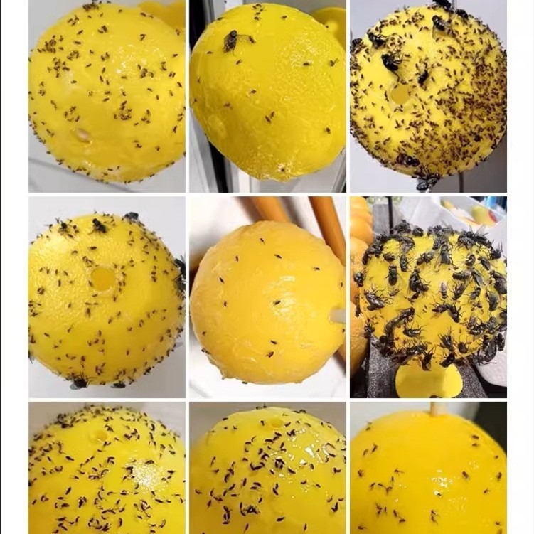 Household Fly Trap Ball Drosophila Trap Small Flying Insect Trap Kitchen Sticky Fly Ball Melon Fruit Sticky Fly Ball