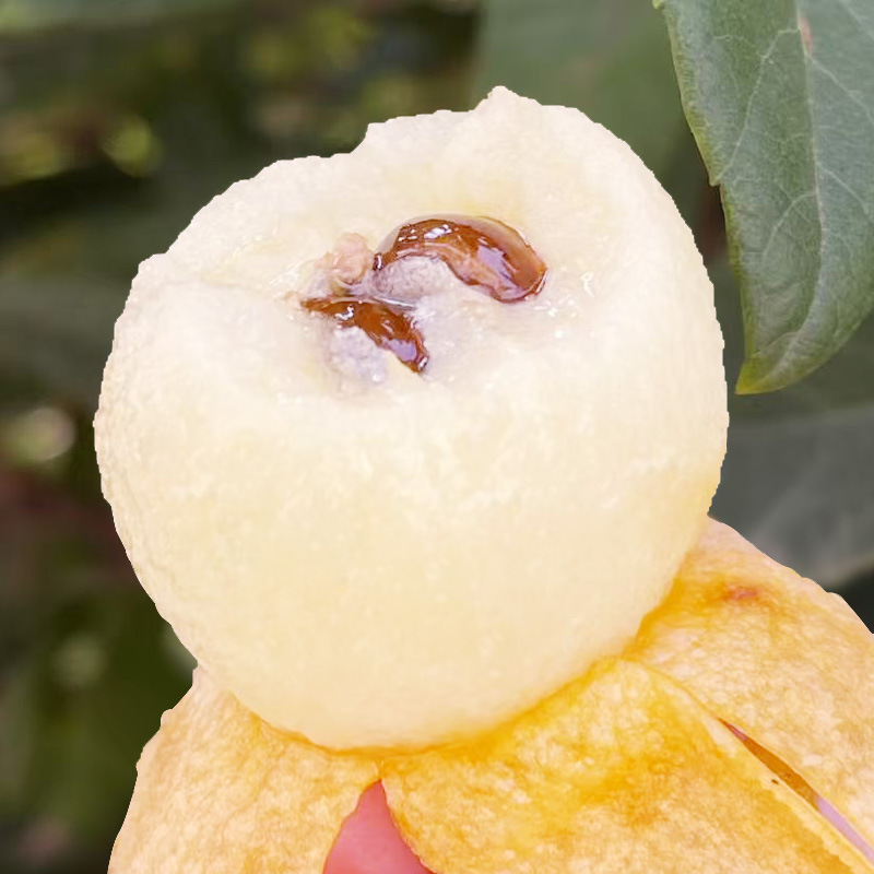 Hangzhou Tangcreek Loquat, White Sand Loquat, White Jade Loquat, Tangxi Fresh Fruit Gift Box Seasonal Fruit