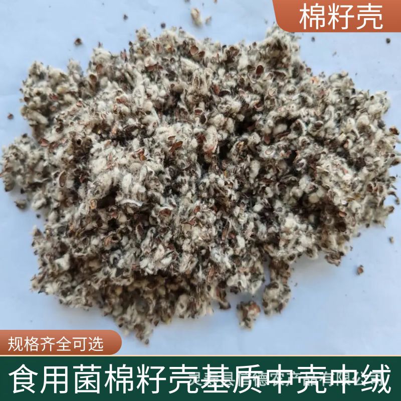Xinjiang in stock cottonseed shell wholesale mushroom edible mushroom mushroom cultivation matrix water retention breathable cotton residue oil field