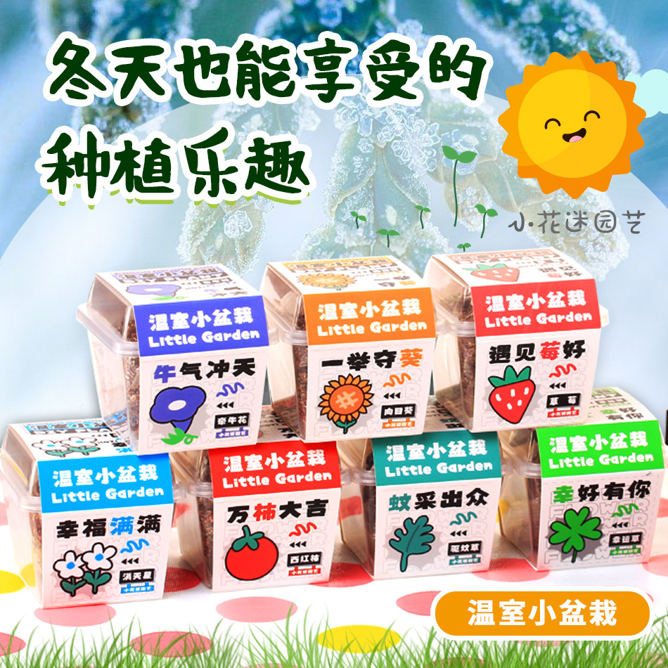 Креативная слепая коробка для растений горшечное растение школьный сезон подарок офисные семена цветов начальная школа настольное зеленое растение горшечное растение