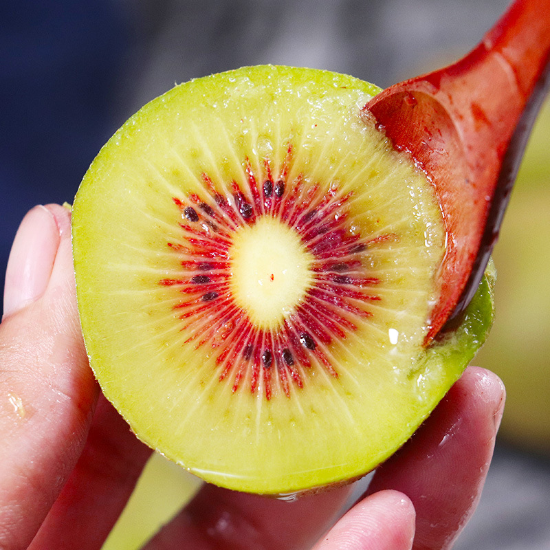 In-Stock Dropshipping Sichuan Pujiang Red Heart Kiwi Fresh Picked Kiwi Fruit 30 Pieces Seasonal Kiwi Fruit