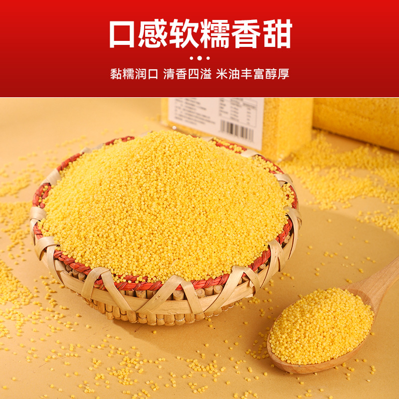 Yellow Millet Seasonal New Beige Millet Porridge 500g Whole Grains New Northeast Yellow Millet Breakfast Millet