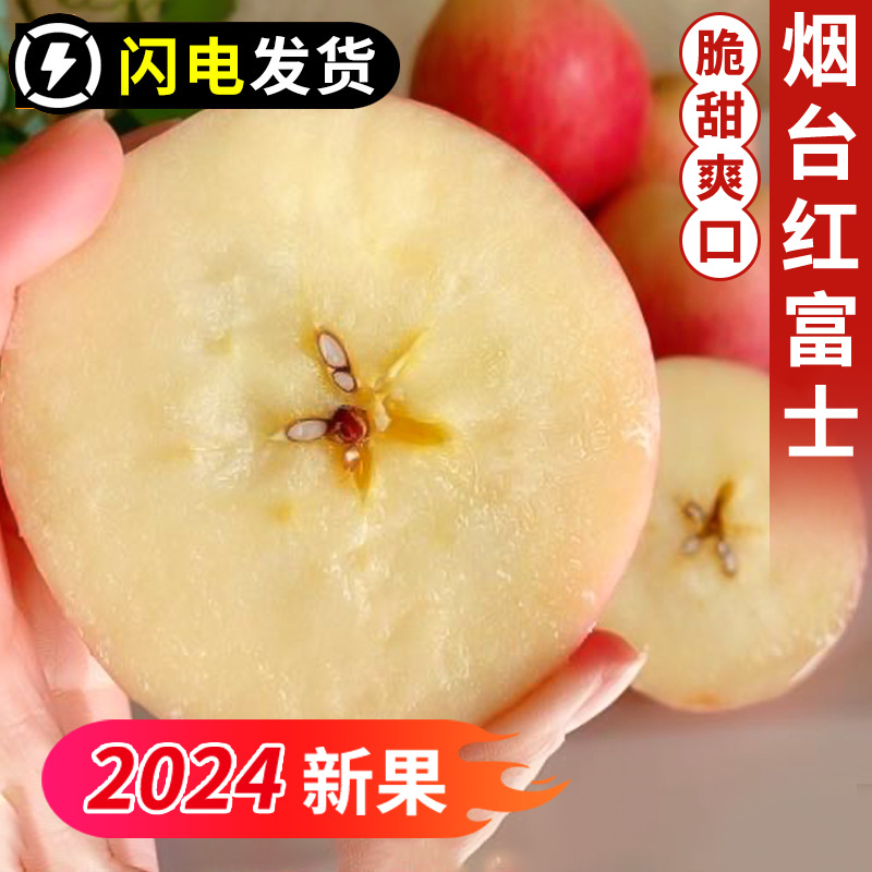 Wholesale Yantai Red Fuji Apples Fresh Apple Fruit Wholesale Crisp Sweet Red Fuji Apples Wholesale