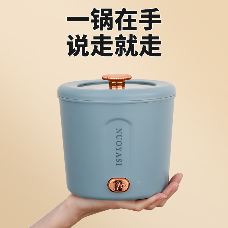 Cross-Border 110V Mini Electric Cooker, Electric Hot Pot, Electric Steamer All-In-One, Dormitory Travel Electric Hot Pot, Small Instant Noodle Cooker