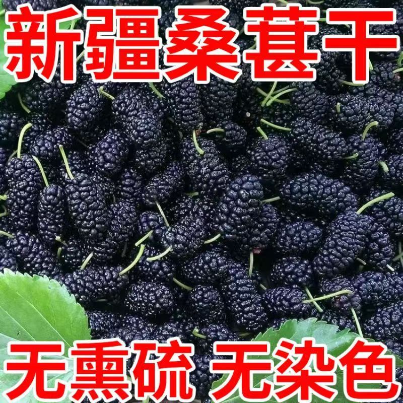 Selected Large Particles of Xinjiang Black Mulberry Dried First Crop Fresh Tea and Wine Sand-Free Freshly Picked High-Quality Dried Mulberries