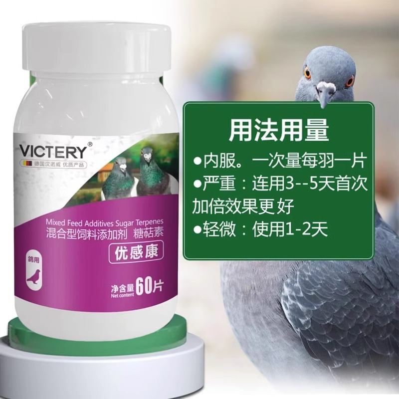 Pigeon Medicine Youguankang 60 Tablets/Bottle Yijara Breathing Road Single-Eye Wind-Liquid Tears Cough Pigeon Health Care Product Special