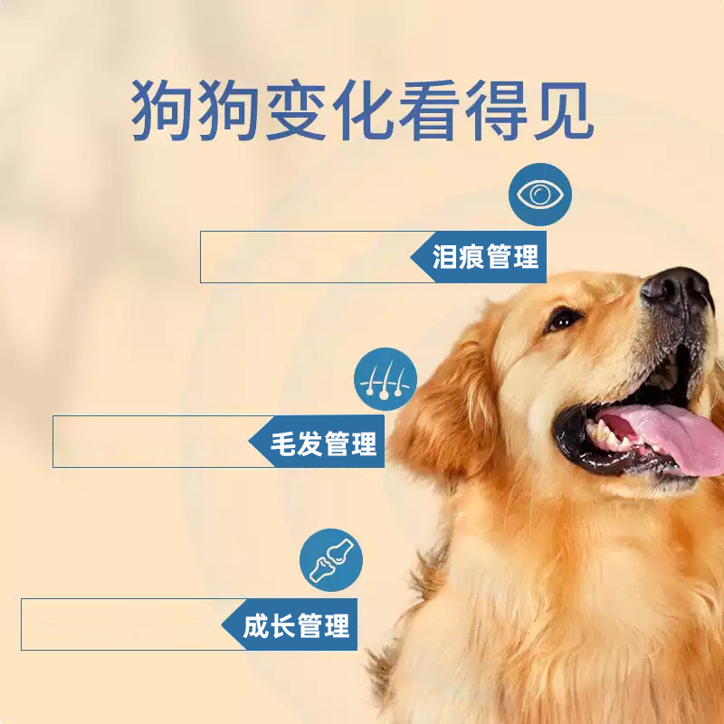 Dog Food Manufacturer Direct Delivery Aiton Universal One-Piece Drop Shipping Large Dog Small Dog Double Full Price Dog Food