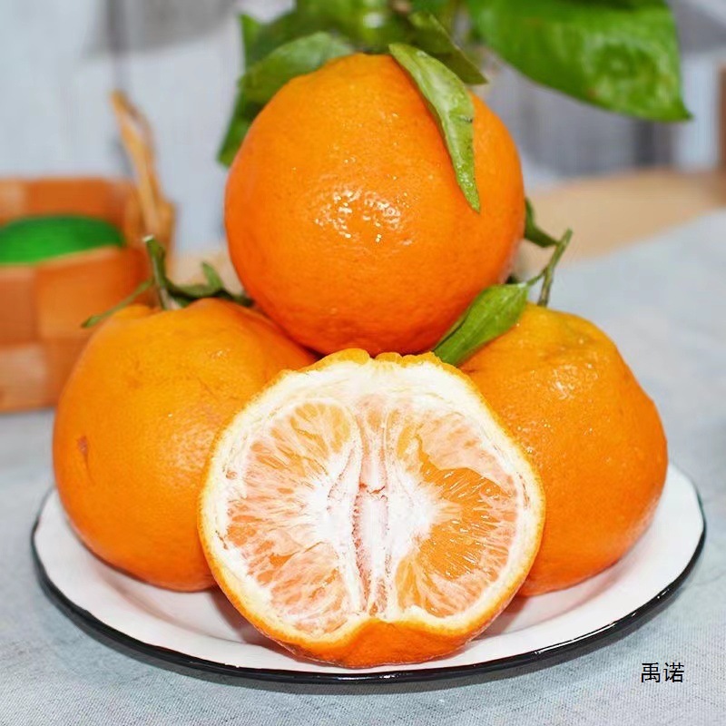 Sichuan Chunjian Raked Mandarin Fresh 5kg Seasonal Fruit Seasonal Papa Mandarin Orange Pure Sweet Ugly Orange