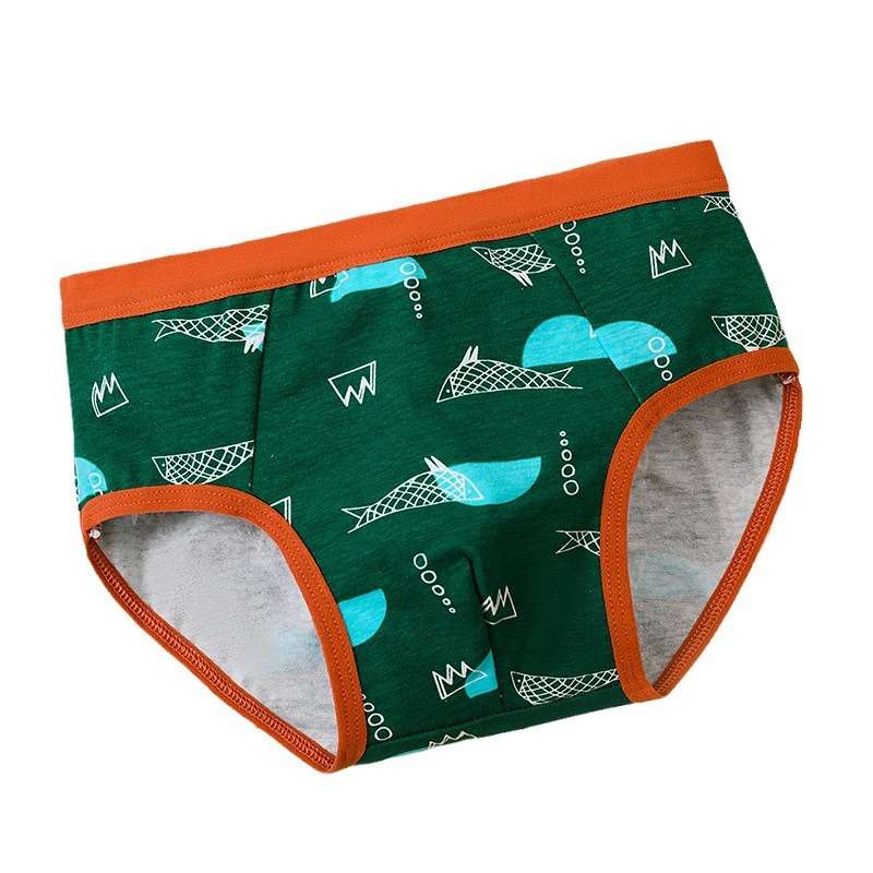 New Boys Underwear Triangle Cotton Children's Underwear Boys' Briefs Cotton Teenagers Children's Underwear Cotton