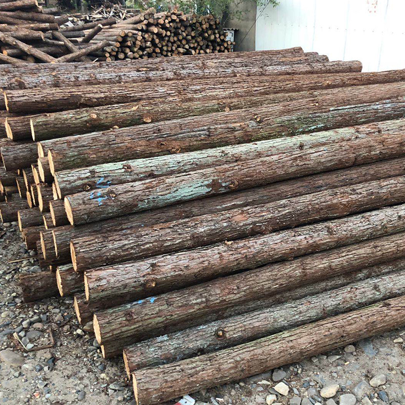 Wood piling woodworking ground River embankment fir pile slope protection renovation wood pile factory direct wholesale piling wood