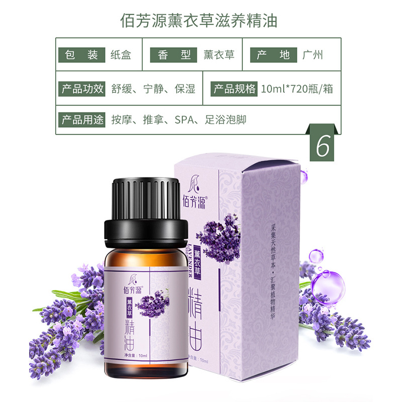 Mugwort Essential Oil Plant Whole Body Spa Massage Massage Scraping Beauty Salon Mugwort Ginger Rose Essential Oil in Stock