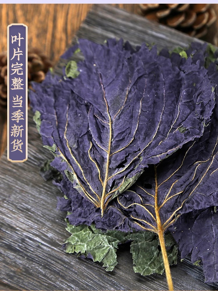 The Efficacy and Function of Dried Perilla Leaves, Authentic Wild Fresh Edible Tea Soaked in Water and Seasoning Powder for Bathing