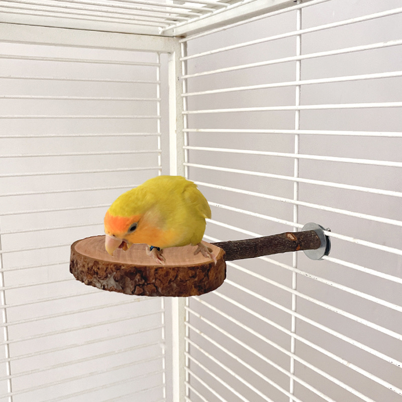 Parrot Stand Bird Ping Pong Platform Totoro Molar Apple Wood Jumping Platform Squirrel Wooden Stand Pole