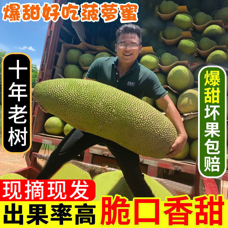 Hainan specialty tree jackfruit fresh fruit wood jackfruit season whole box 1.00 kg-20.00 kg whole postage postage