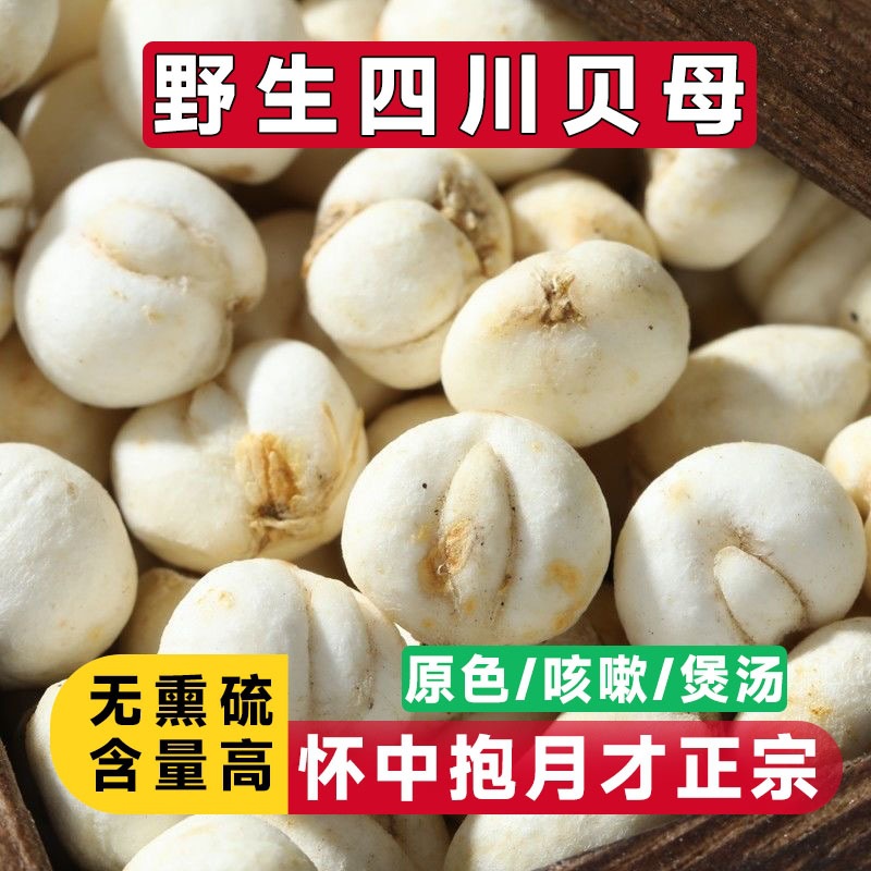 Оптовая продажа подлинной дикой Фритиллярии из Сычуани, порошок для супа