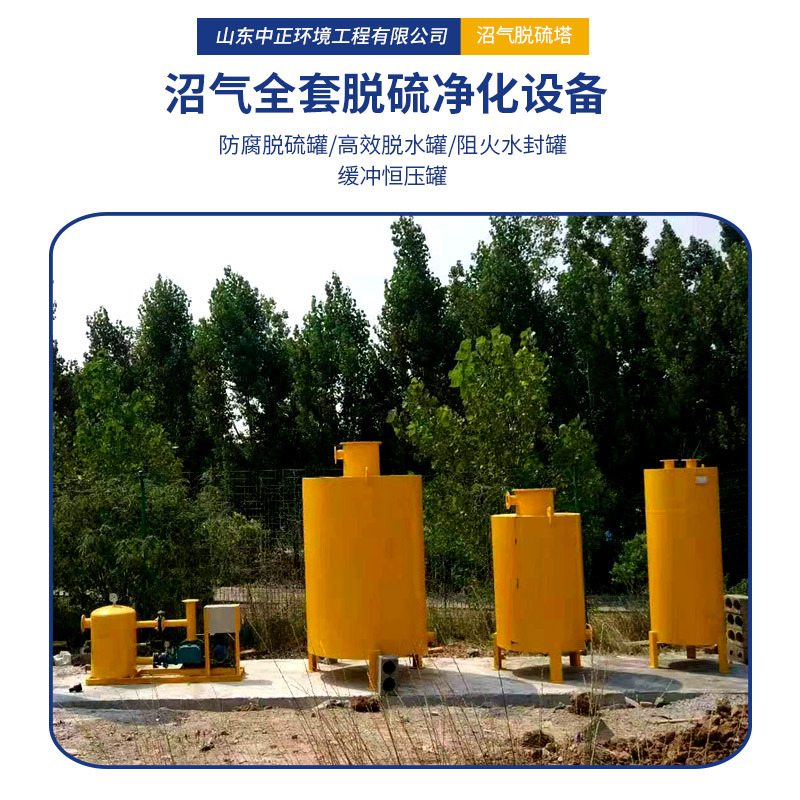 Liyang Supplies Biogas Desulfurizer, Desulfurization Purification Tower, Gas-Water Separation Tower, Pig Farm Biogas Supporting Equipment
