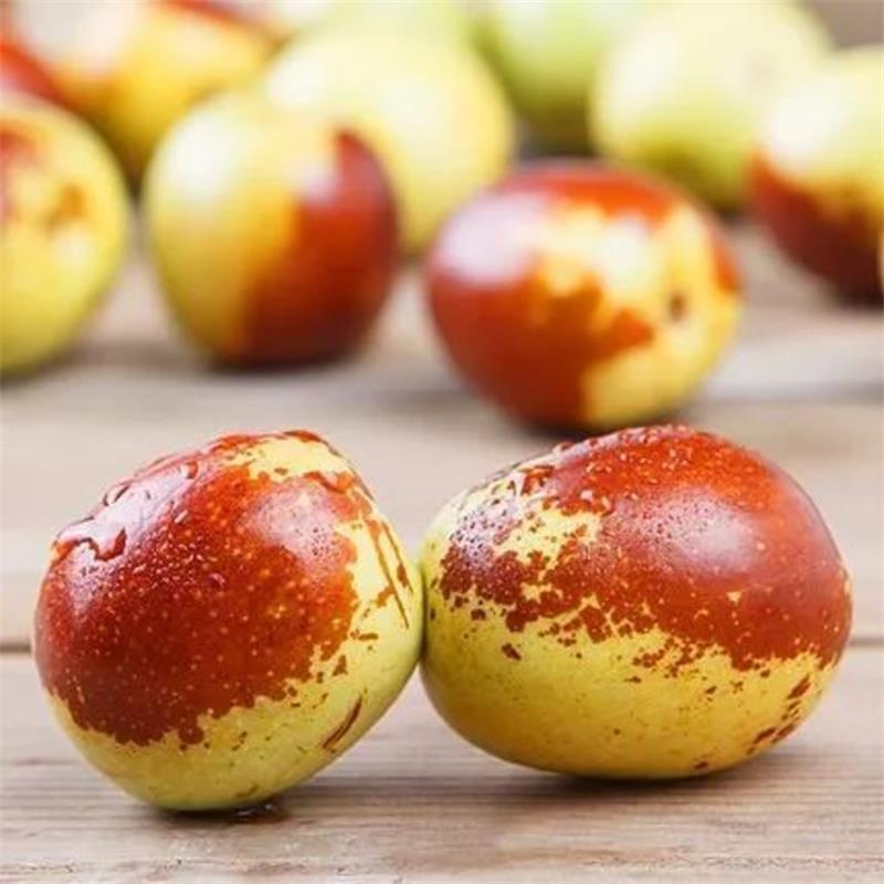 Shaanxi Dali Winter Jujube Direct from the Place of Origin, Fresh Jujube, Winter Jujube, Free Shipping, Seasonal Fruit, Winter Jujube, One Piece Drop Shipping