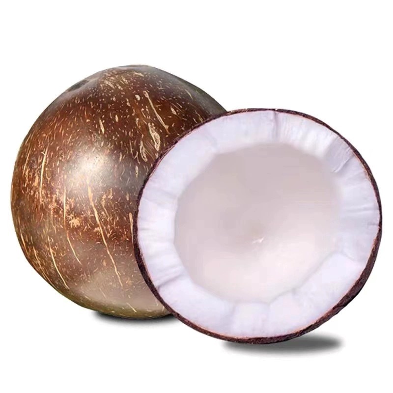 Hainan Coconut King Old Coconut Wholesale Coconut Chicken Coconut Fruit Coconut Meat Juice Soup