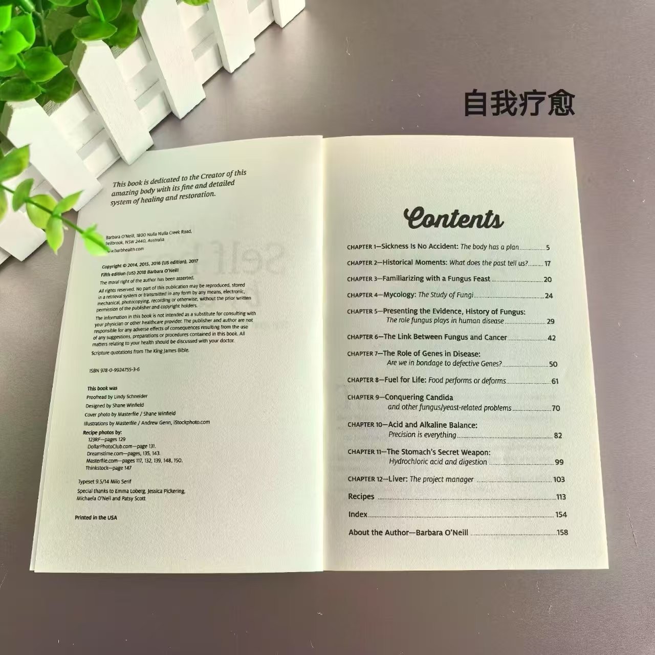 Self Heal by Design- the Role of Micro-Organ English Version