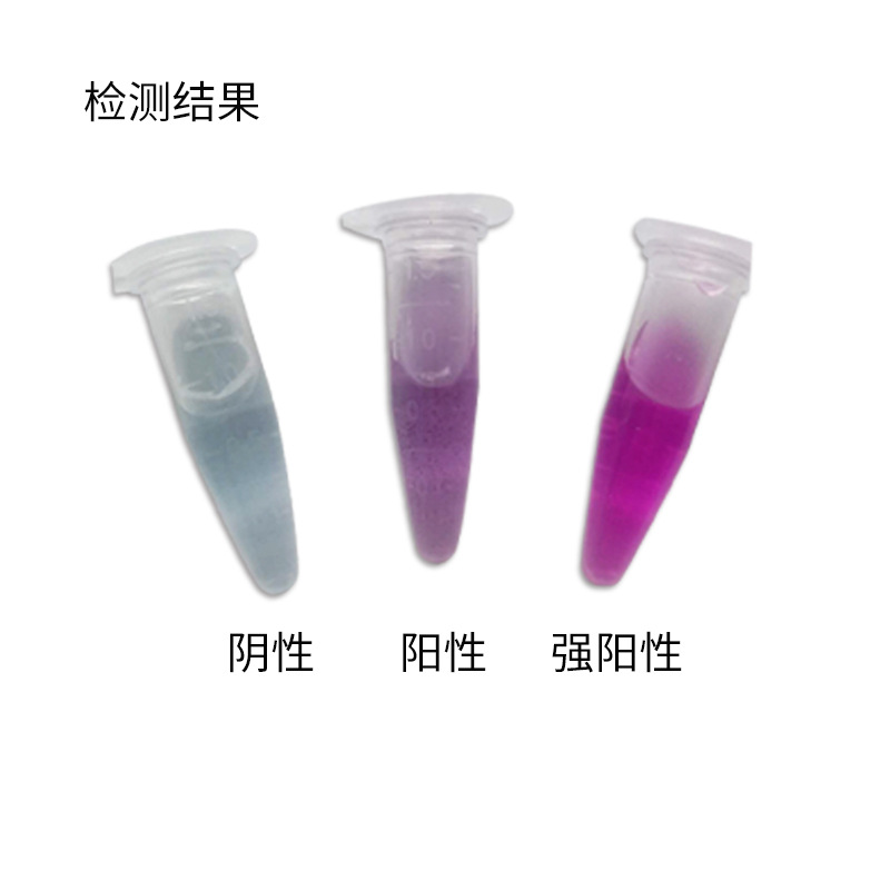 Sulfur Dioxide Detection Tube for Yam, Rose, Lily, Lotus Seed, Chinese Herbal Medicine Bleach, Sulfur Detection Kit for Rapid Testing