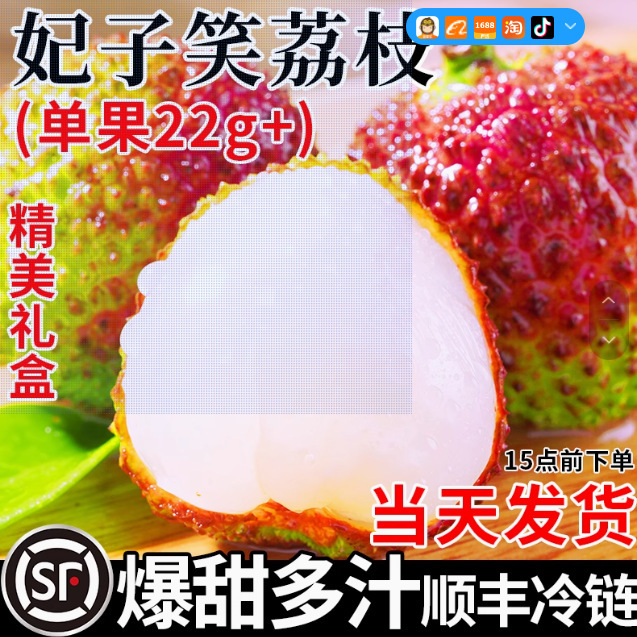 Fresh Seasonal Lychees from Hainan Feizi Xiaoxiao, Hand-Picked, Super Sweet, Large Fruit from Old Trees, Sf Express Free Shipping for a Whole Box