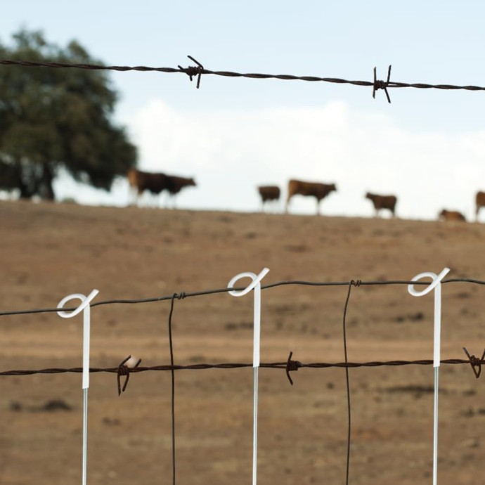 Xingchang Hardware Farm and Pasture Electric Fence Posts Fence Poles