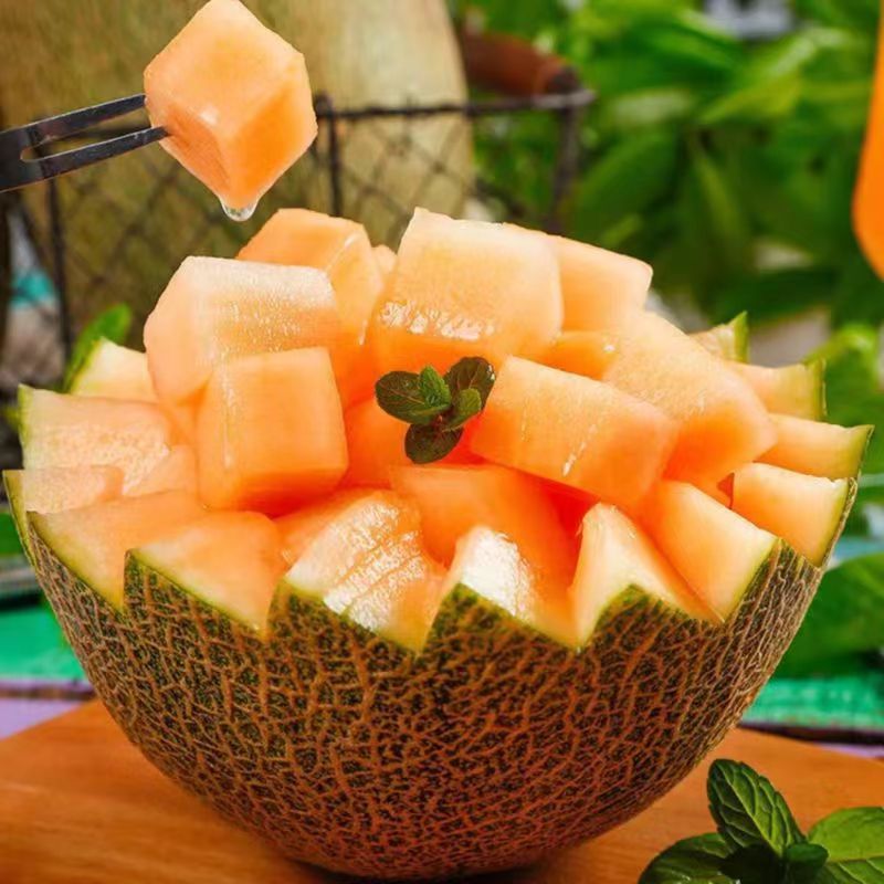 Shandong Cantaloupe Fresh Fruit Xizhou Honey Melon Whole Piece Free Shipping Xizhou Honey One Piece Drop Shipping