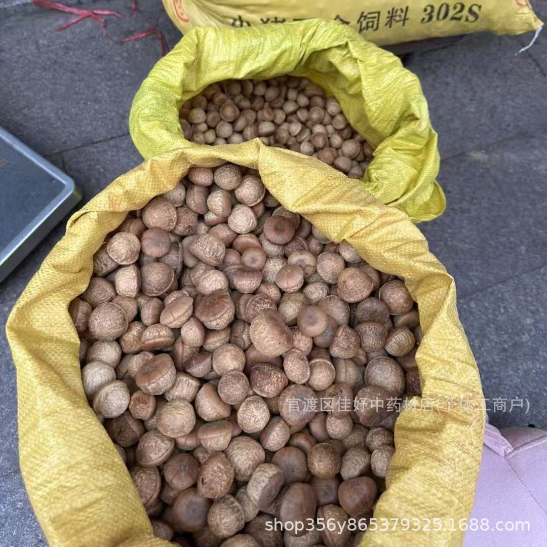 500g of Guangxi Specialty Dried Fruit for Men's Wine Infusion, Turtle Head Fruit Powder for Market Stalls and Delivery