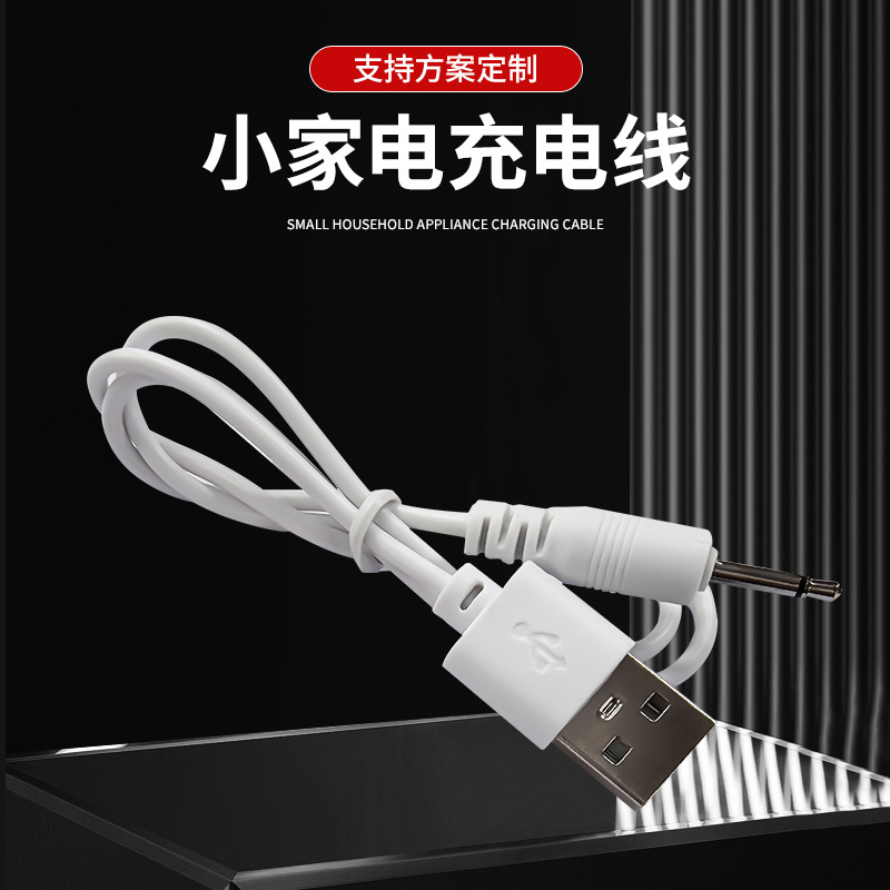 Charging Cable USB to 2.5 Mono Beauty Instrument Vibrator Vibrating Ball Adult Products Charging Cable Manufacturer Wholesale