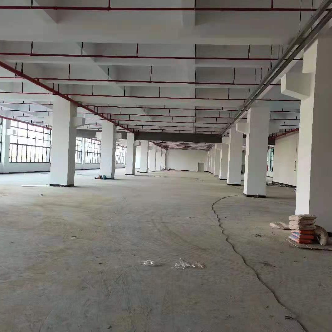 Songshan Lake Dalang Large Industrial Zone, 8000 square meters of the original landlord's single-house factory for rent