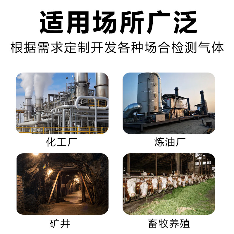 Wall-Mounted Hydrogen Sulfide Sensor H2S Transmitter Industrial Grade Toxic and Harmful Gas Detector Ay-300-H