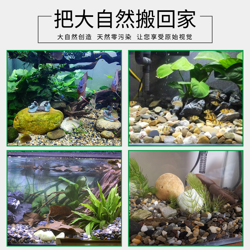 Stream Stone Fish Tank Bottom Sand Paving Natural Ecological Turtle Tank Stone Aquarium Stone Landscaping