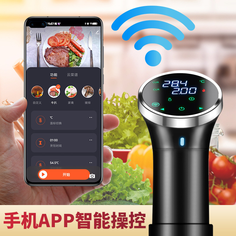 Sous Vide Cooker, вакуумная машина для медленного приготовления, версия с WIFI