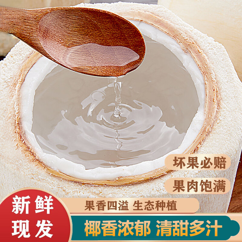 Thai Perfume Coconut Green Fresh Coconut Whole Box Peeled Pregnant Women Milk Coconut Extra Large Fruit Ready in Stock Free Shipping