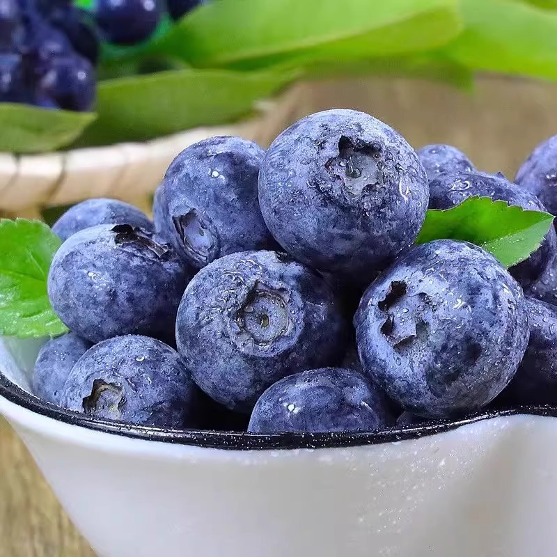 Yunnan Alpine Blueberry King Fresh Fruit Seasonal Fresh Fruit Freshly Picked Sweet Blueberries for Pregnant Women Large Fruit Whole Box Free Shipping