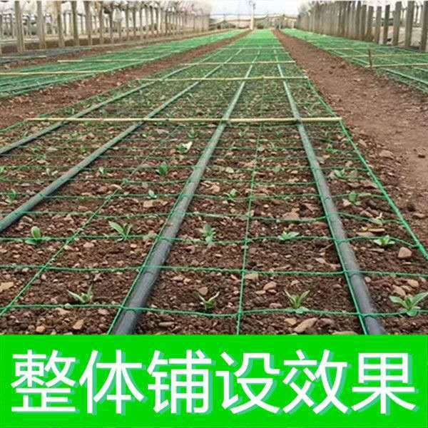 Greenhouse planting square net onion chrysanthemum net planting garlic yellow celery Dendrobium Yam anti-fall net climbing net manufacturer