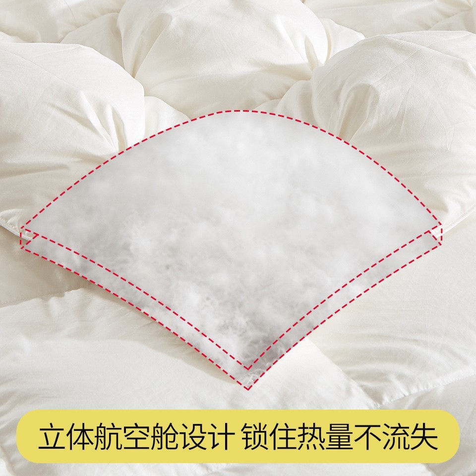 Hotel cotton twisted duvet white goose down quilt core thickened warm winter quilt single double spring and autumn quilt wholesale