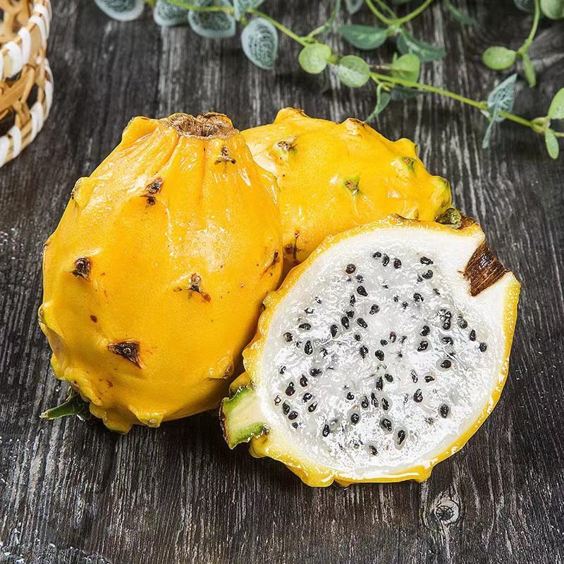 Hainan Bird's Nest Fruit 3//4/ 2.5kg Kirin Fruit Dragon Fruit Sf Express Free Shipping One-Piece Dropshipping Golden Kirin