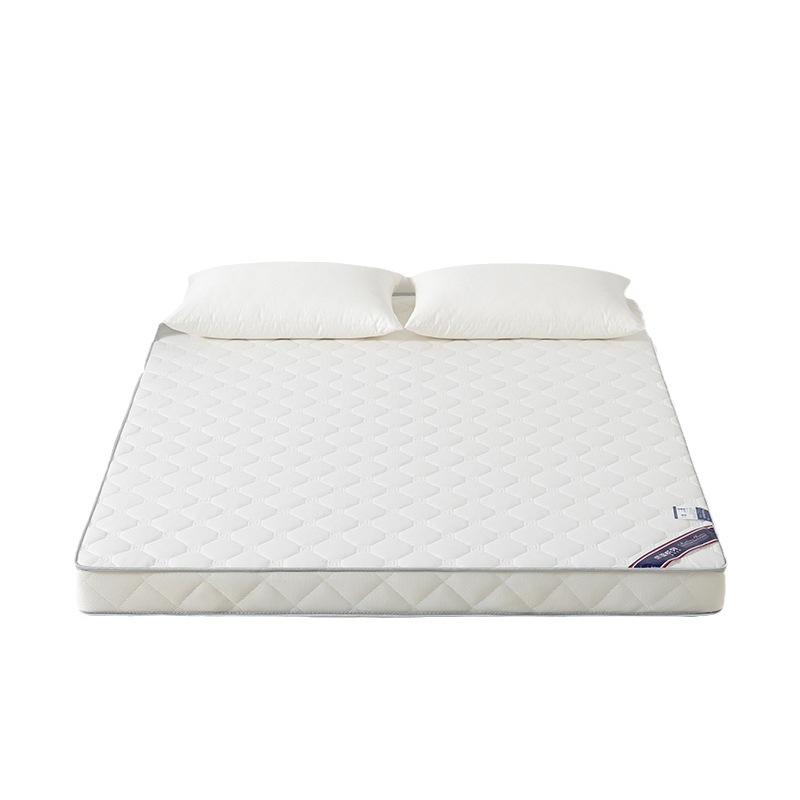 New Thickened Latex Mattress Dormitory Soft Cushion Foldable Storage Student Mattress Rental Home Mattress Wholesale